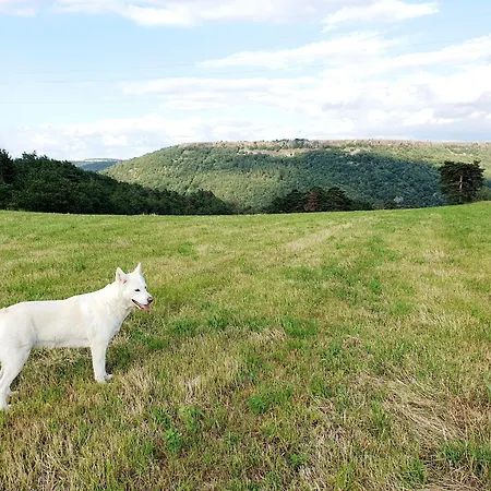 Le Poulailler * Blesle